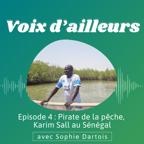 EPISODE 4 : Pirate de la pêche, Karim Sall au&nbsp;Sénégal