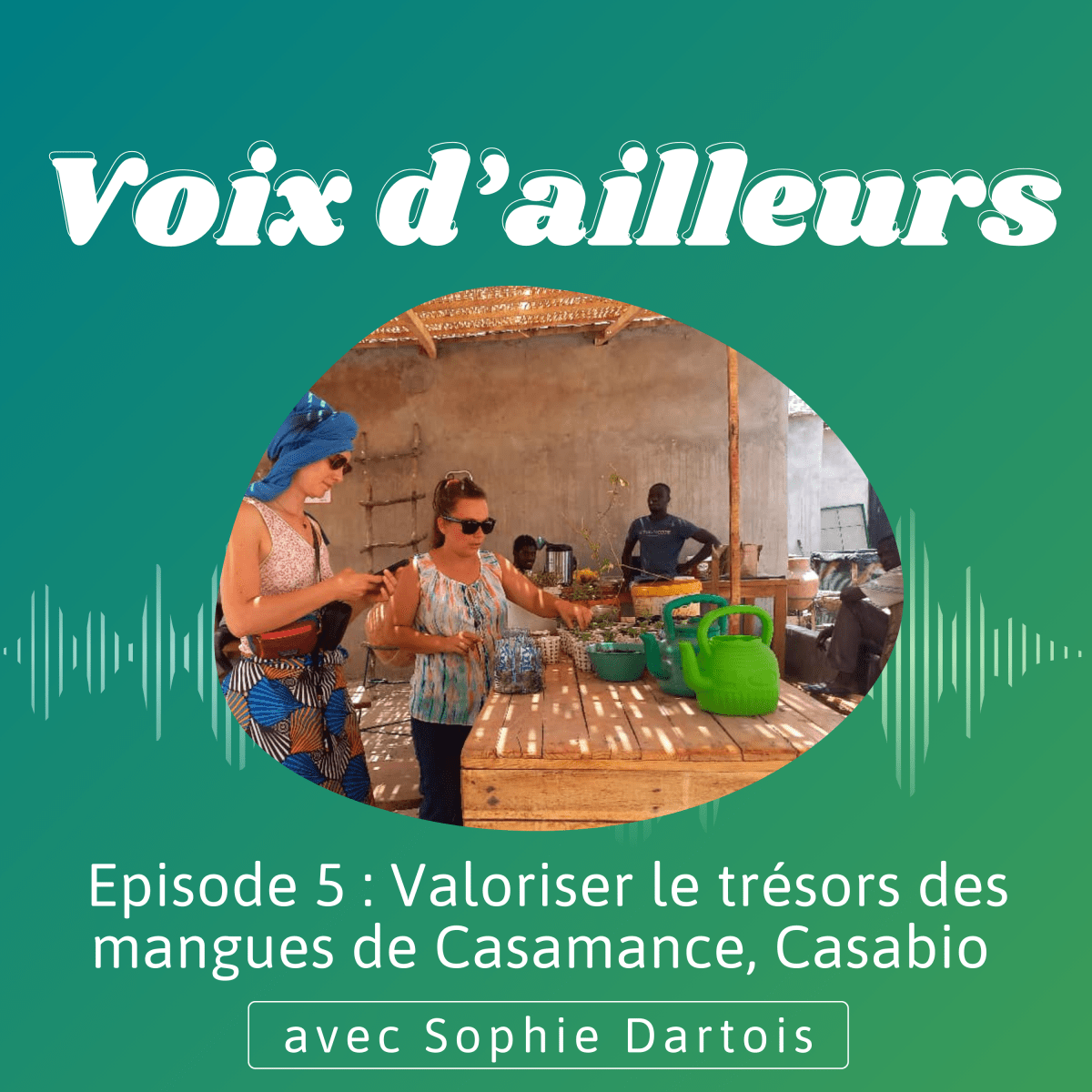 EPISODE 5 : Des mangues et des femmes: l&rsquo;entrepreneuriat en&nbsp;Casamance